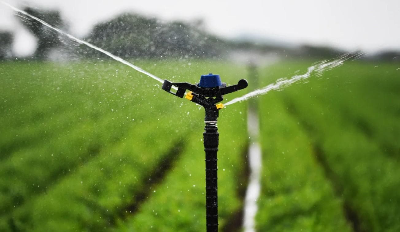 Sprinkler in field