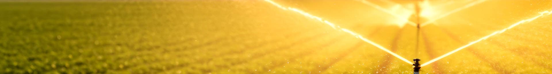 Sprinkler irrigation