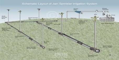Schematic sprinkler irrigation layout