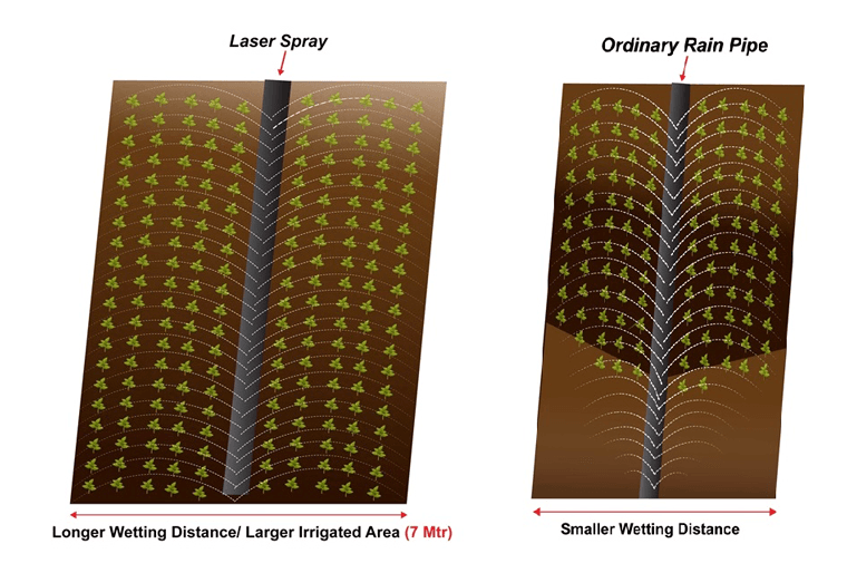Laser Spray vs Ordinary Rain Pipe — longer wetting distance (7 Mtr) gives larger irrigated area vs smaller wetting distance of ordinary rain pipe