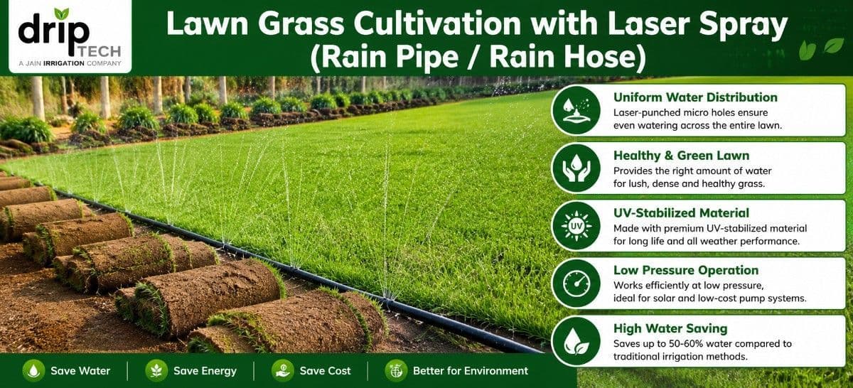 Lawn Grass Cultivation with Laser Spray (Rain Pipe / Rain Hose)