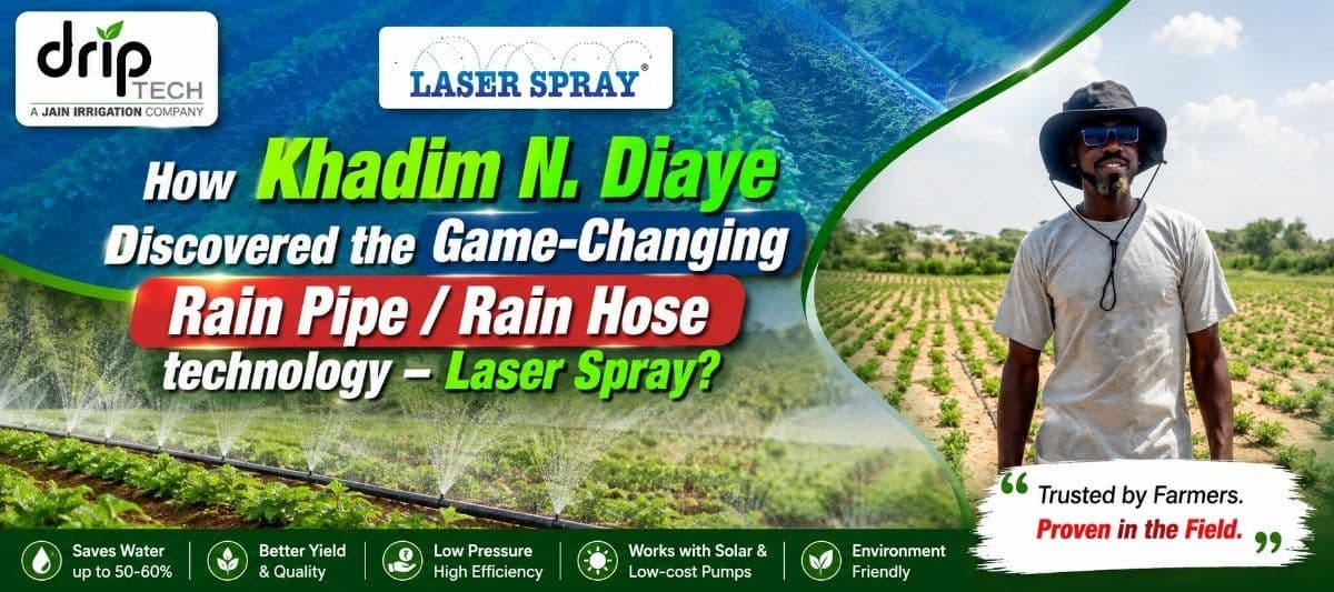 How Khadim N. Diaye’s Experience with Laser Spray Rain Pipe